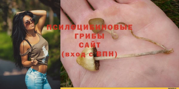 наркотики Алексин