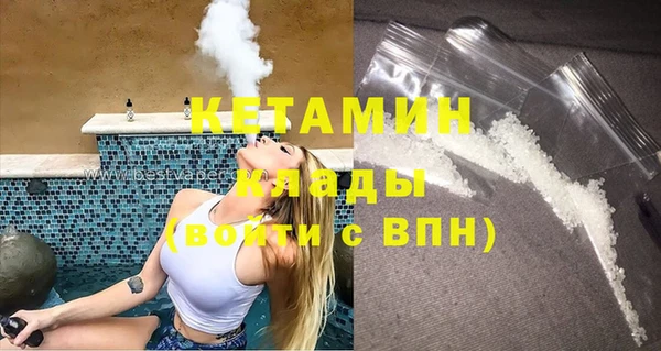 стаф Аркадак