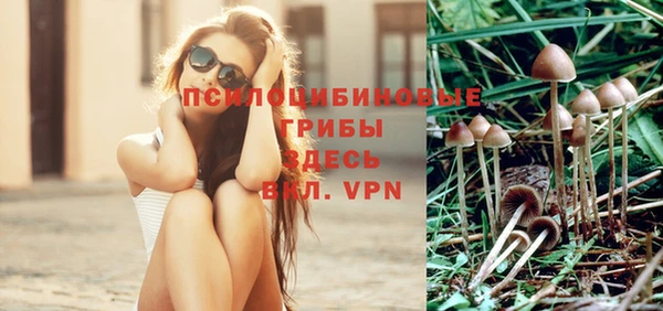 амфетамин Алексеевка