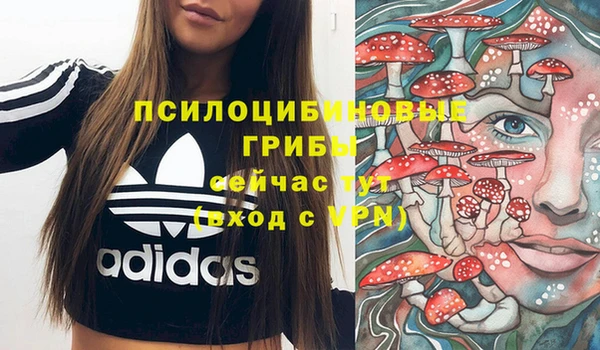 наркотики Алексин